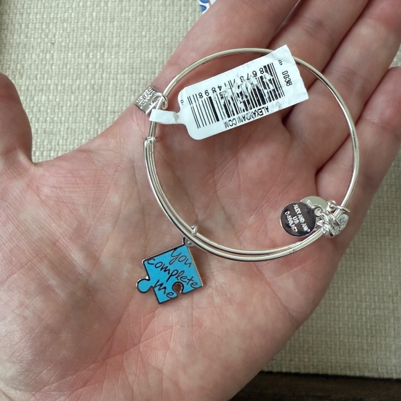 NWT Alex and Ani You Complete Me Blue Puzzle Piece Autism Shiny Silver Bracelet - Picture 4 of 4